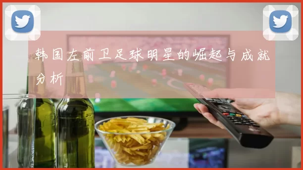 韩国左前卫足球明星的崛起与成就分析