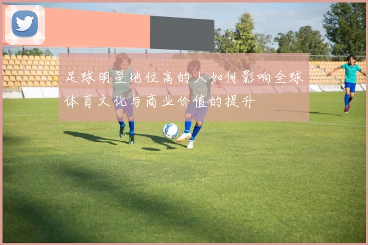 足球明星地位高的人如何影响全球体育文化与商业价值的提升