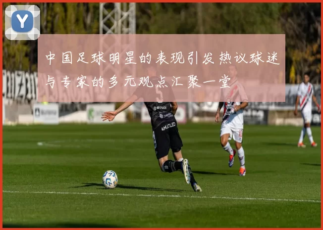 中国足球明星的表现引发热议球迷与专家的多元观点汇聚一堂