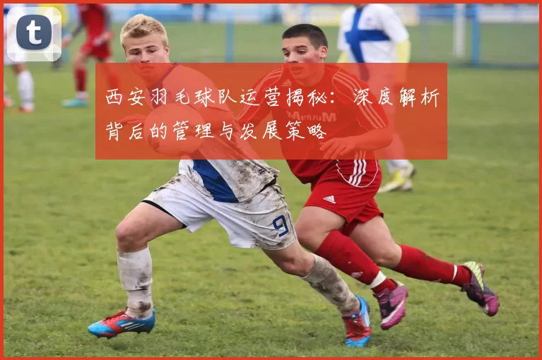 西安羽毛球队运营揭秘：深度解析背后的管理与发展策略