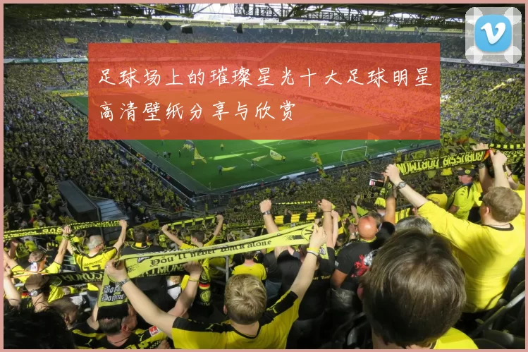 足球场上的璀璨星光十大足球明星高清壁纸分享与欣赏