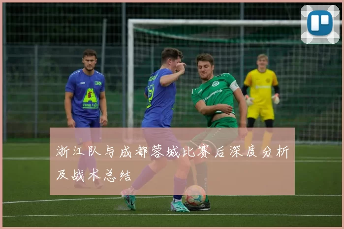 浙江队与成都蓉城比赛后深度分析及战术总结