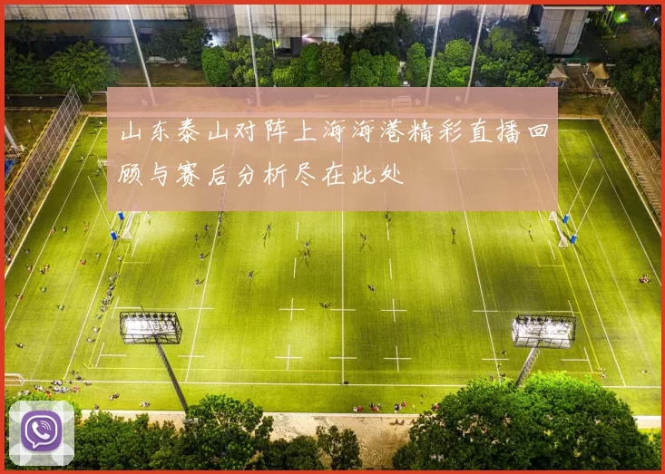 山东泰山对阵上海海港精彩直播回顾与赛后分析尽在此处